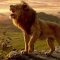فیلم سینمایی شیر شاه – Lion King با زیرنویس فارسی