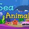 آموزش زبان انگلیسی به کودکان – اسامی حیوانات دریایی