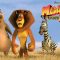 انیمیشن Madagascar (ماداگاسکار) 2 – زیرنویس فارسی